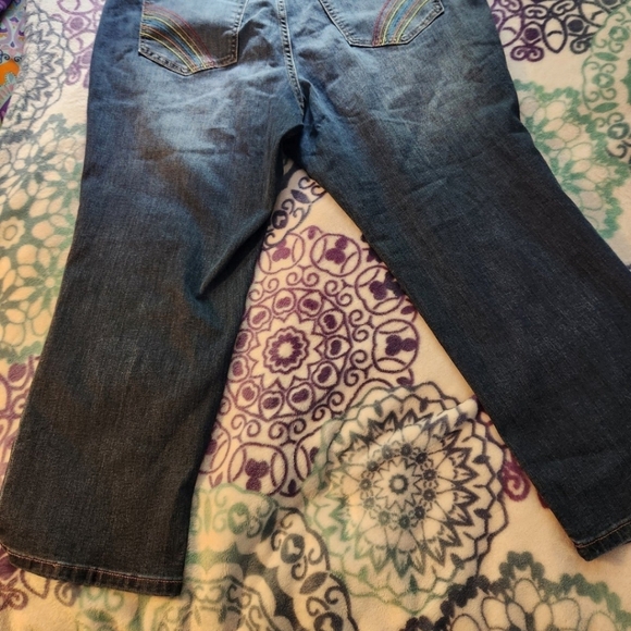Lane Bryant rainbow boyfriend cropped denim jeans Size 18 - Picture 12 of 14